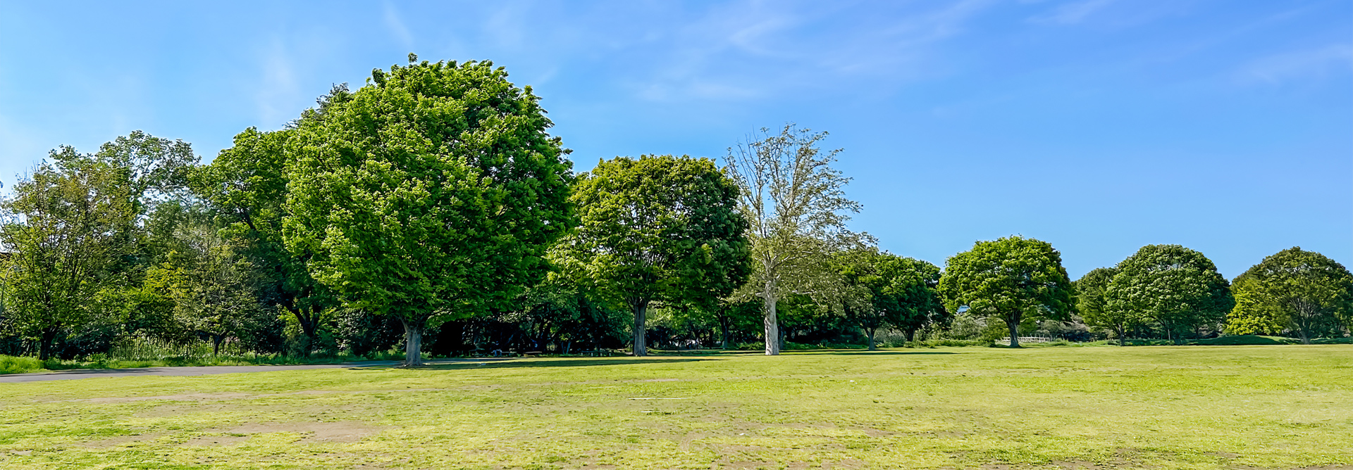 風の杜法律事務所